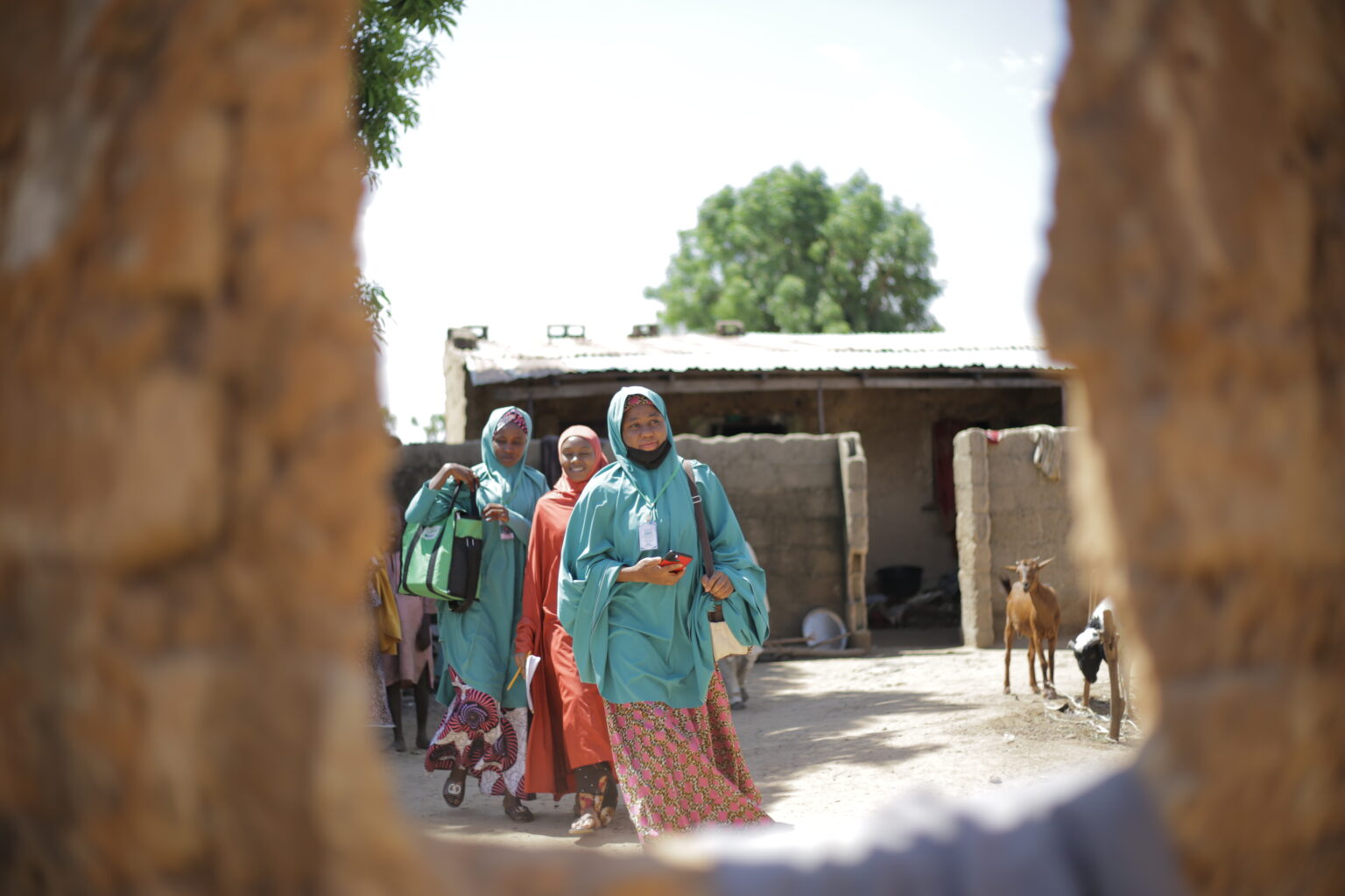 Community health workers walking through a village in Dawakin Kudu, Kano State