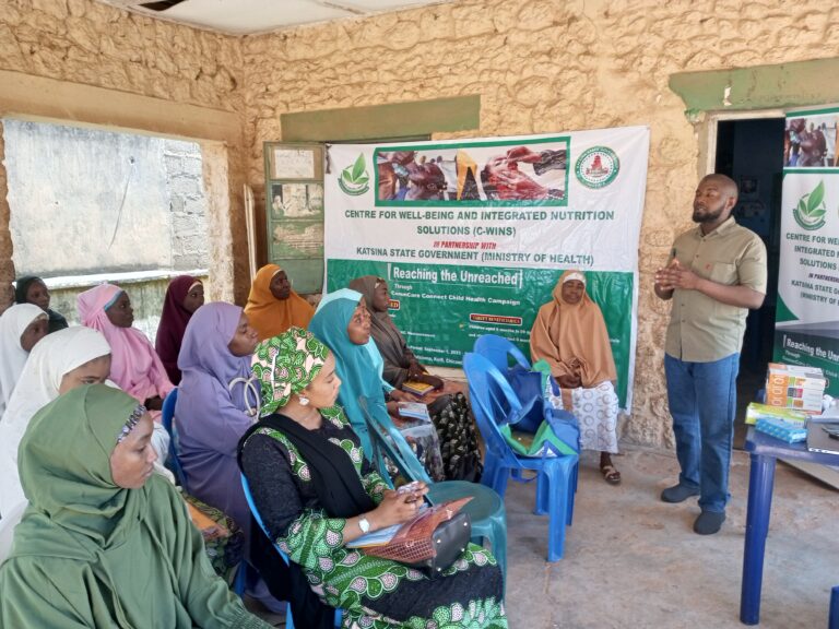 A C-WINS facilitator speaks to women during the CommCare Connect child health campaign in Katsina State