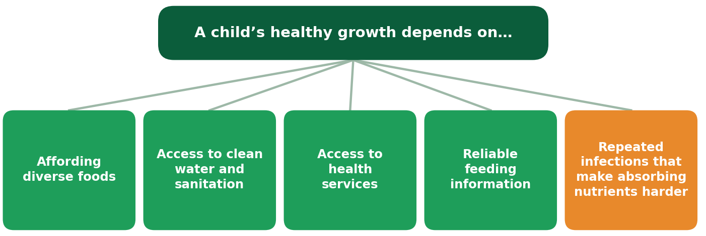 A child’s healthy growth depends on affording diverse foods, access to clean water and sanitation, access to health services, reliable feeding information, and avoiding repeated infections that make absorbing nutrients harder.