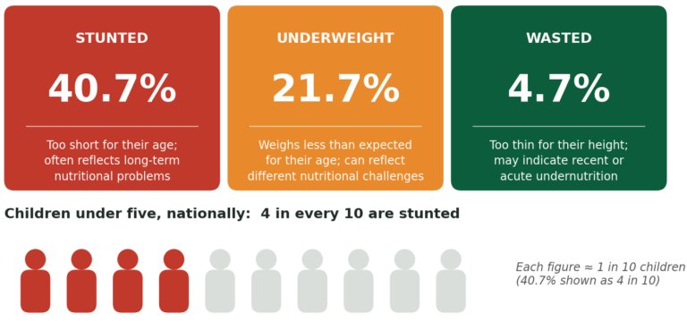 Child nutrition indicators for children under five, Nigeria Mini-DHS 2025 to 26: stunted 40.7% (too short for their age, often reflecting long-term nutritional problems); underweight 21.7% (weighs less than expected for their age); wasted 4.7% (too thin for their height, which may indicate recent or acute undernutrition). Four in every ten children under five are stunted.